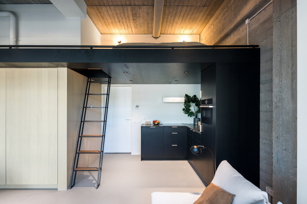 Urban Lofts: Adaptive Re-use Architecture and Small Living